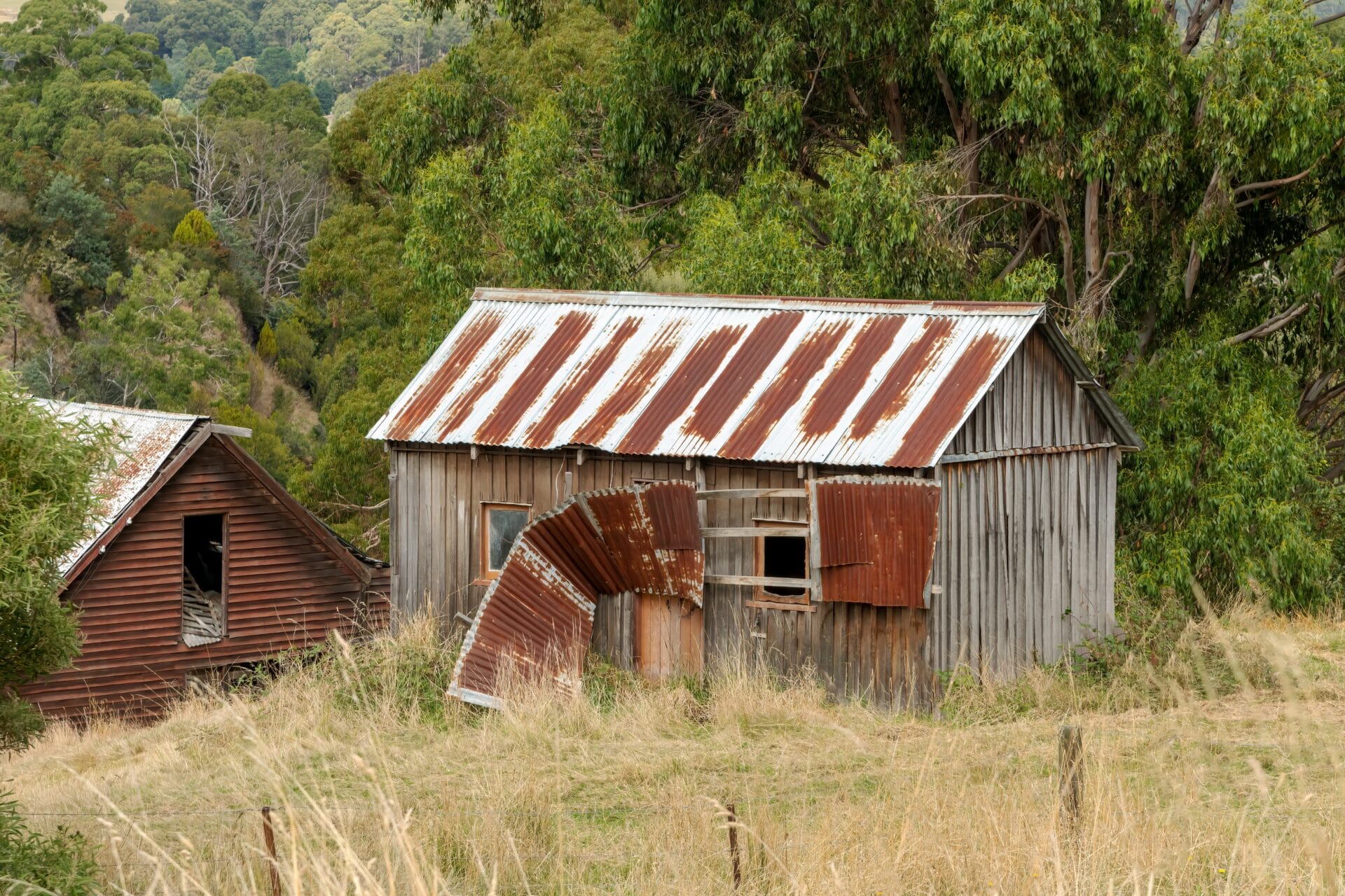 shed needs attention